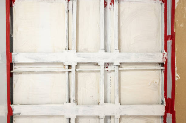 Mold Documentation for Insurance Claims in Platte City, MO