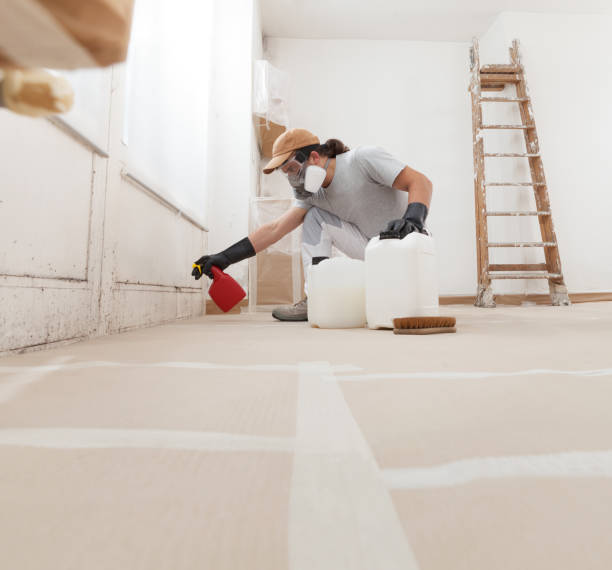 Best Environmental Consulting for Mold Prevention  in Platte City, MO