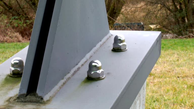 Trusted Platte City, MO Mold Removal Experts